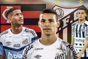 Revelações do Santos