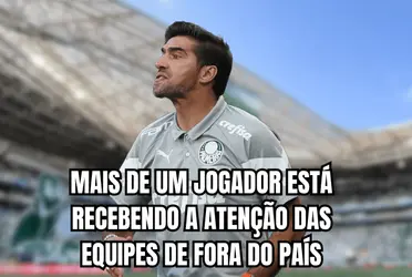 O Alviverde Paulista está passando por um processo de reformulação